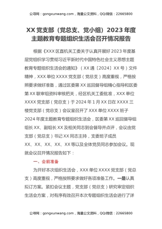 XX党支部（党总支、党小组）主题教育专题组织生活会召开情况报告