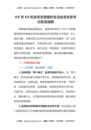 XX市XX机关党支部组织生活会党支部书记发言提纲