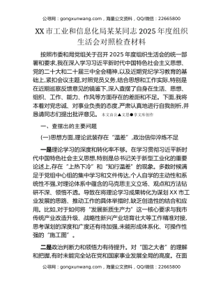 XX市工业和信息化局某某同志2025年度组织生活会对照检查材料