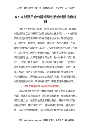 XX支部委员会专题组织生活会对照检查材料