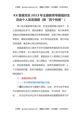 XX普通党员2023年主题教育专题组织生活会个人发言提纲（新“四个检视”）