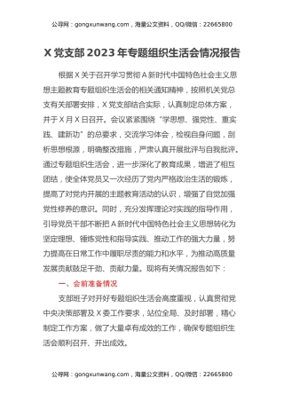 X党支部2023年专题组织生活会情况报告