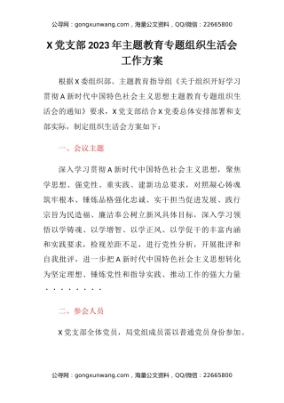 X党支部2023年主题教育专题组织生活会工作方案