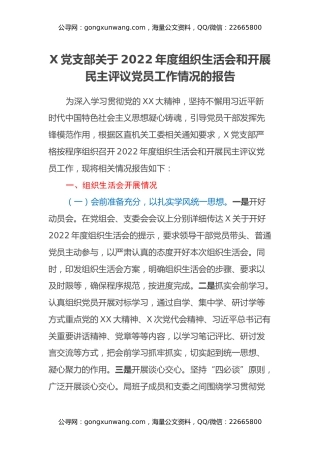 X党支部关于2022年度组织生活会和开展民主评议党员工作情况的报告