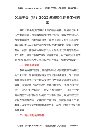 X局党委（组）2022年组织生活会工作方案