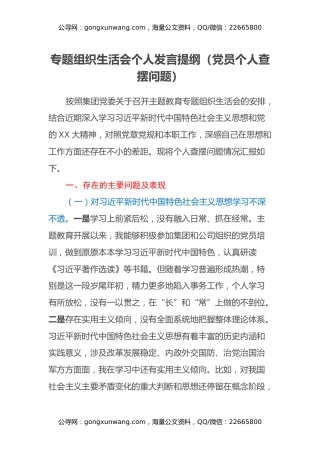 专题组织生活会个人发言提纲（党员个人查摆问题）