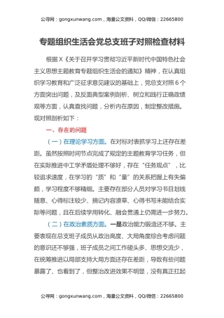 专题组织生活会党总支班子对照检查材料