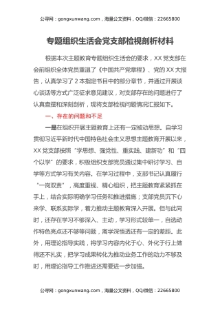 专题组织生活会党支部检视剖析材料