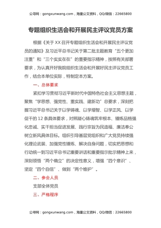 专题组织生活会和开展民主评议党员方案