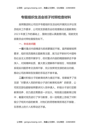 专题组织生活会班子对照检查材料（国企党支部）