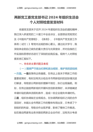 两新党工委党支部书记2024年组织生活会个人对照检查发言材料