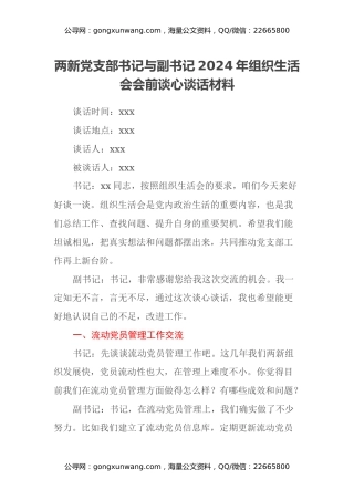 两新党支部书记与副书记2024年组织生活会会前谈心谈话材料