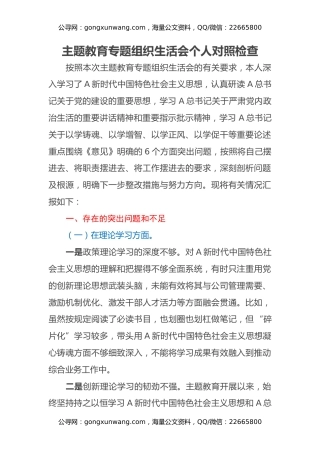 主题教育专题组织生活会个人对照检查 (2)