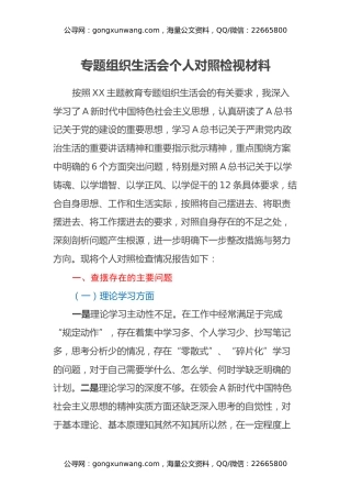 主题教育专题组织生活会个人对照检视材料