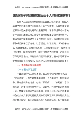 主题教育专题组织生活会个人对照检视材料（五个方面）