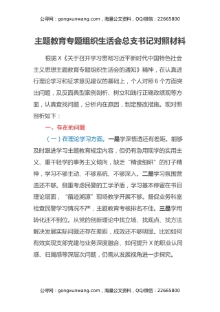 主题教育专题组织生活会总支书记对照材料