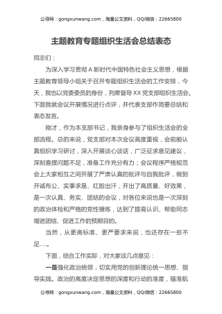 主题教育专题组织生活会总结表态发言