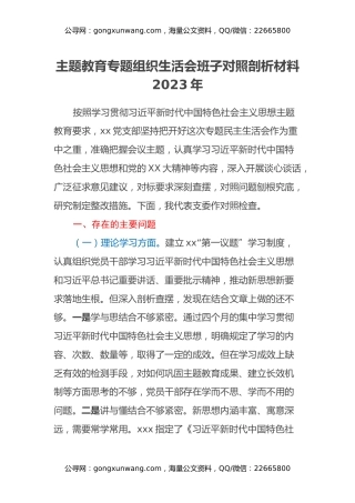 主题教育专题组织生活会班子对照剖析材料2023年