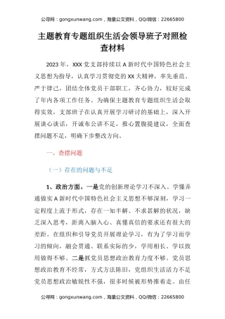 主题教育专题组织生活会领导班子对照检查材料