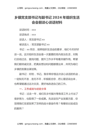 乡镇党支部书记与副书记2024年组织生活会会前谈心谈话材料