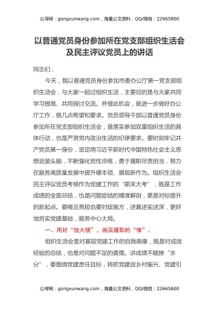 以普通党员身份参加所在党支部组织生活会及民主评议党员上的讲话