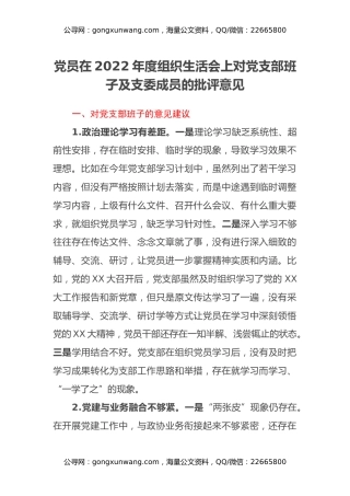 党员在2022年度组织生活会上对党支部班子及支委成员的批评意见