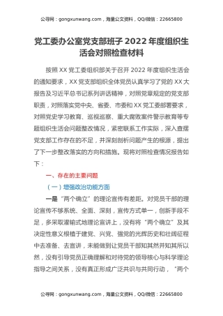 党工委办公室党支部班子2022年度组织生活会对照检查材料