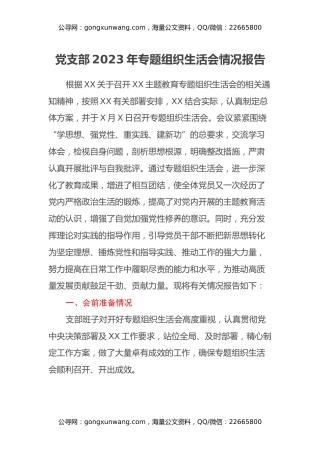 党支部2023年主题教育专题组织生活会情况报告（会前准备情况、总结主题教育成效）