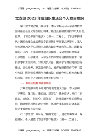 党支部2023年度组织生活会个人发言提纲（四个方面）