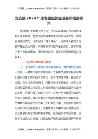 党支部2024年度专题组织生活会照检查材料