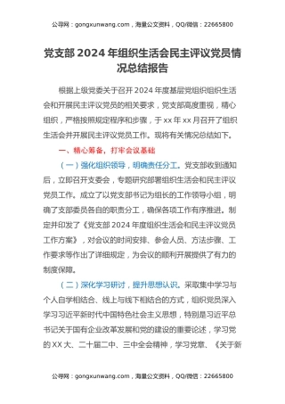 党支部2024年组织生活会民主评议党员情况总结报告