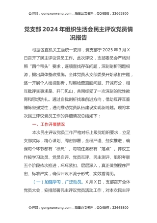 党支部2024年组织生活会民主评议党员情况报告