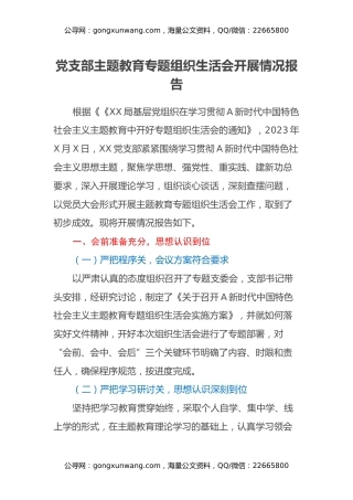 党支部主题教育专题组织生活会开展情况报告