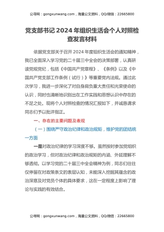 党支部书记2024年组织生活会个人对照检查发言材料（2）