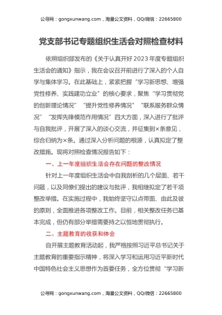 党支部书记专题组织生活会对照检查材料