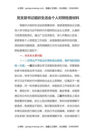 党支部书记组织生活会个人对照检查材料