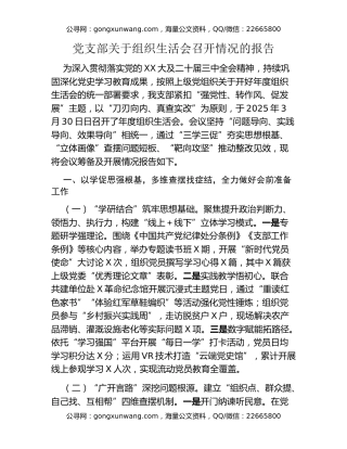 党支部关于组织生活会召开情况的报告