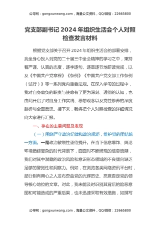 党支部副书记2024年组织生活会个人对照检查发言材料
