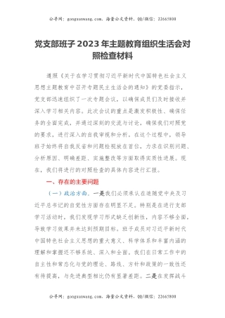 党支部班子2023年主题教育组织生活会对照检查材料（五个方面）