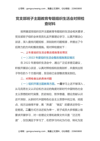 党支部班子主题教育专题组织生活会对照检查材料（六个方面）