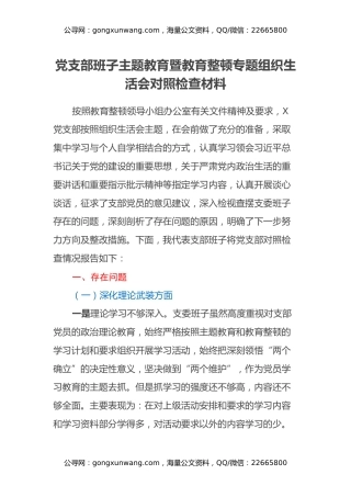 党支部班子主题教育暨教育整顿专题组织生活会对照检查材料