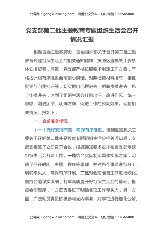 党支部第二批主题教育专题组织生活会召开情况汇报