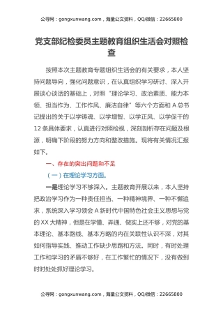 党支部纪检委员主题教育组织生活会对照检查