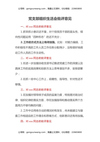 党支部组织生活会批评意见