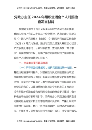党政办主任2024年组织生活会个人对照检查发言材料