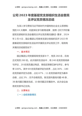公司2023年度基层党支部组织生活会暨民主评议党员情况总结