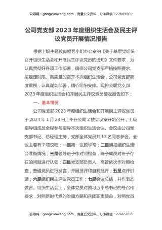 公司党支部2023年度组织生活会及民主评议党员开展情况报告