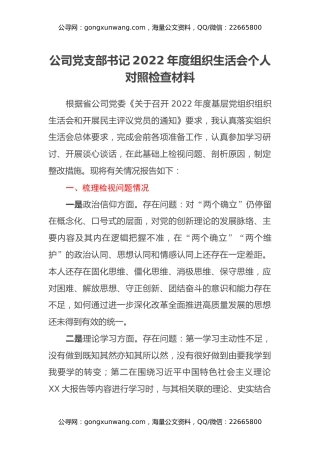 公司党支部书记2022年度组织生活会个人对照检查材料