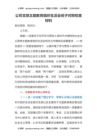 公司支部主题教育组织生活会班子对照检查材料