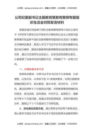 公司纪委副书记主题教育暨教育整顿专题组织生活会对照检查发言材料